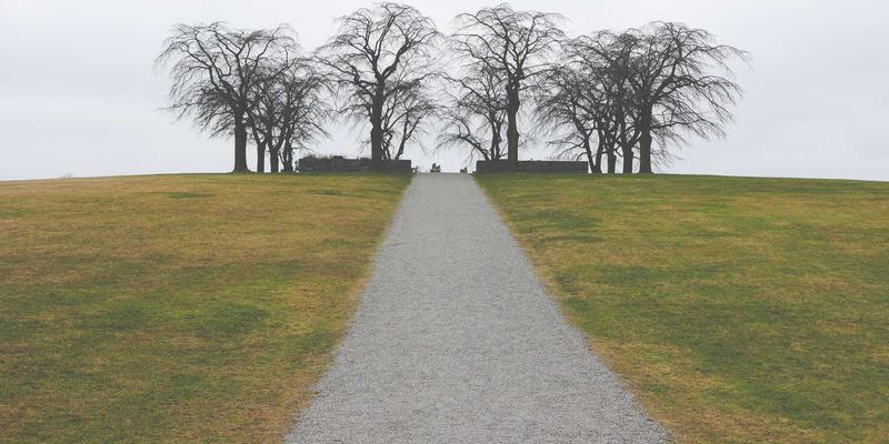 平台和传统方法对比评测